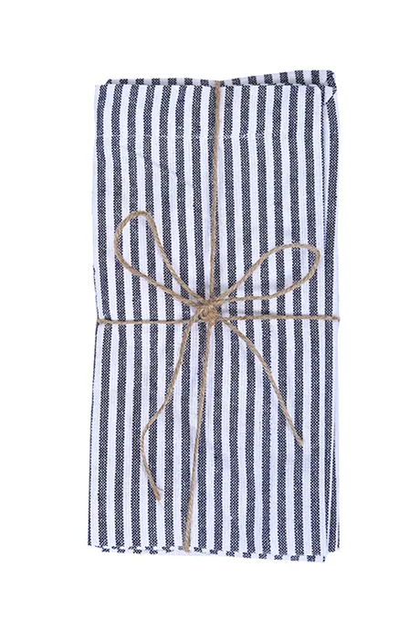 Recycled Napkin 2-pack Stina, Navy Blue/White