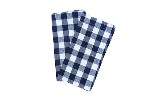 Recycled Napkin 2-pack Sture, Navy Blue/White