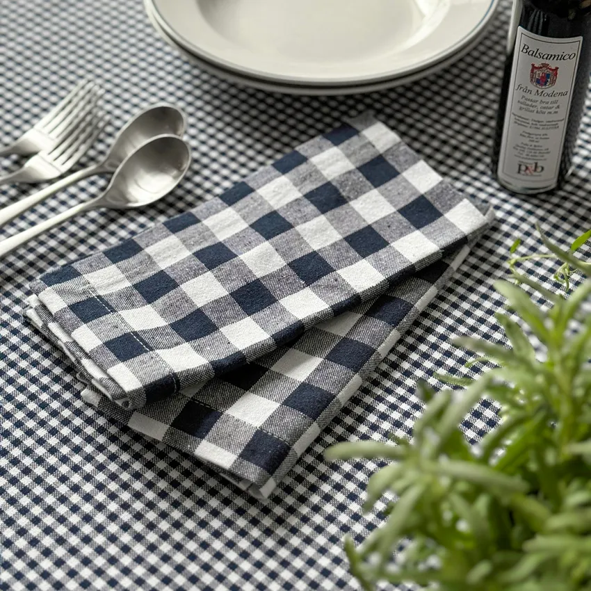 Recycled Napkin 2-pack Sture, Navy Blue/White